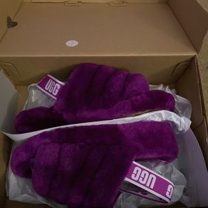 Purple uggs brand new